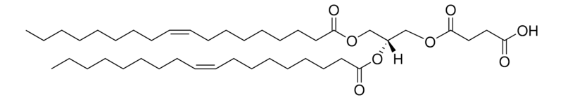 Merck 18:1 DGS