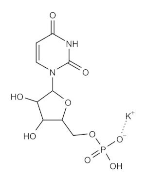 Merck POLYURIDYLIC ACID (5``) POTASSIUM