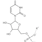 Merck POLYURIDYLIC ACID (5``) POTASSIUM