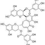 Merck THEAFLAVIN 3,3````-DIGALLATE