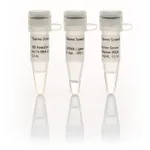 Thermo Fisher Scientific T4 RNA Ligase (10 U/μL)