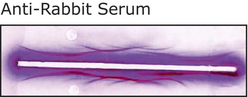 Merck Anti-Rabbit Serum antibody produced in goat