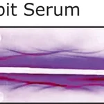 Merck Anti-Rabbit Serum antibody produced in goat