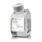 Thermo Fisher Scientific PBS (10X), pH 7.4, 500 mL