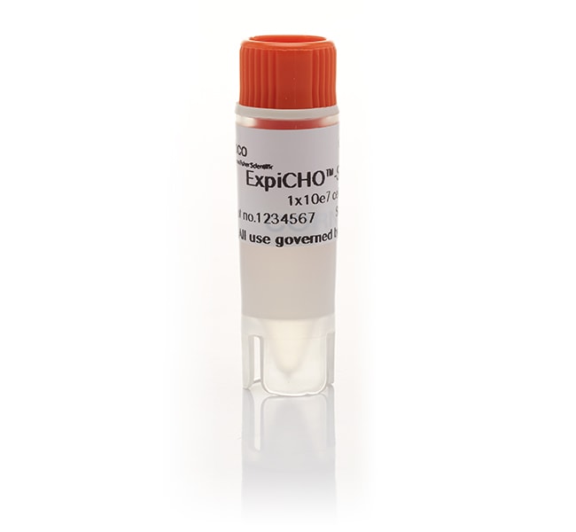 Thermo Fisher Scientific ExpiCHO-S Cells