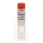 Thermo Fisher Scientific ExpiCHO-S Cells