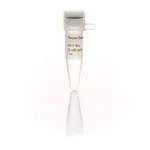 Thermo Fisher Scientific dNTP Mix (25 mM each), 1 mL