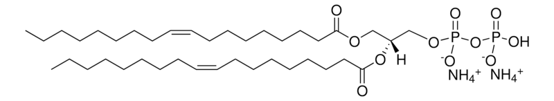 Merck 18:1 DGPP