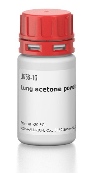 Merck LUNG ACETONE POWDER RABBIT
