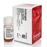 Thermo Fisher Scientific Exosome-Human CD81 Flow Detection Reagent (from cell culture)