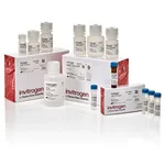 Thermo Fisher Scientific ViewRNA HC Screening Assay Kit