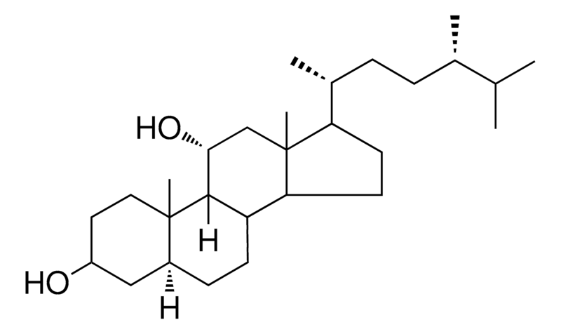 Merck 5-ALPHA,9-BETA-ERGOSTANE-3-BET - 1 MG&