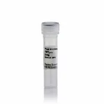 Thermo Fisher Scientific Super Heavy TMTpro Label Reagent
