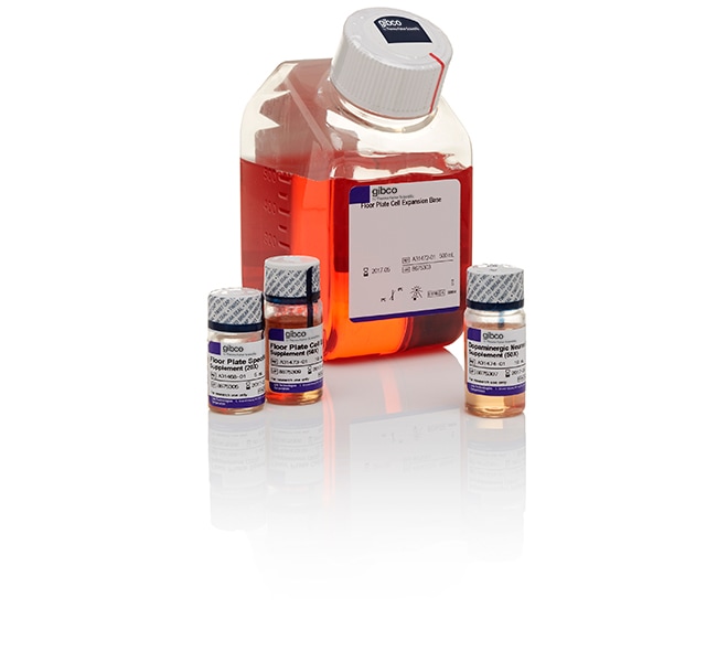 Thermo Fisher Scientific PSC Dopaminergic Neuron Differentiation Kit
