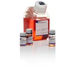 Thermo Fisher Scientific PSC Dopaminergic Neuron Differentiation Kit