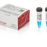 Thermo Fisher Scientific Novex Sharp Unstained Protein Standard