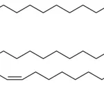 Merck 20:0-20:1-20:0 D5 TG