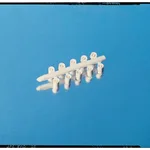 Thermo Fisher Scientific Critocaps