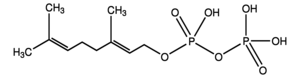 Merck GERANYL PYROPHOSPHATE AMMONIUM 200     &
