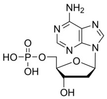 Merck 2-DEOXYADENOSINE 5-MONOPHOSPHATE FREE  &