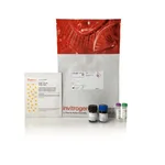 Thermo Fisher Scientific CBQCA Plus Protein Quantitation Kit
