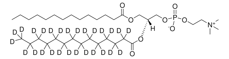 Merck 14:0-14:0-d27 PC