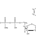 Merck 2'-Deoxycytidine-13C9,15N3 5'-triphosphate disodium salt solution