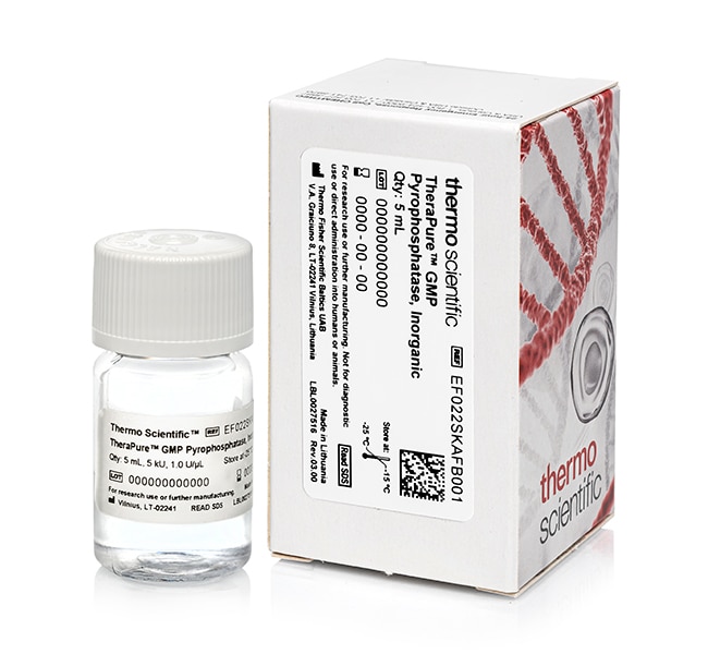 Thermo Fisher Scientific TheraPure GMP Pyrophosphatase, inorganic, 1 U/μL, 5 kU
