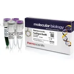 Thermo Fisher Scientific FastDigest BseMII