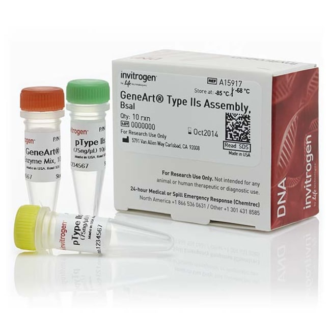 Thermo Fisher Scientific GeneArt Type IIs Assembly Kit, Bsa I