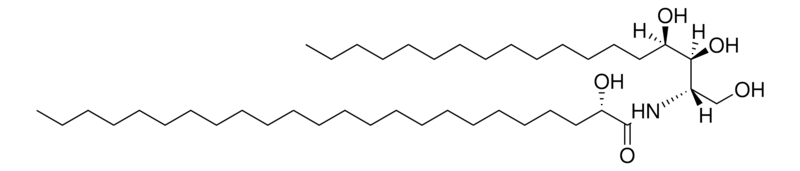 Merck N-24:0 (2S-OH) Phytosphingosine