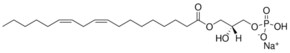 Merck 18:2 LYSO PA