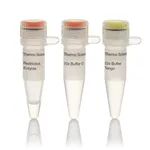 Thermo Fisher Scientific Alw21I (BsiHKAI) (10 U/μL)