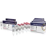 Thermo Fisher Scientific Phusion Hot Start II DNA Polymerase & dNTP Mix (10 mM each)