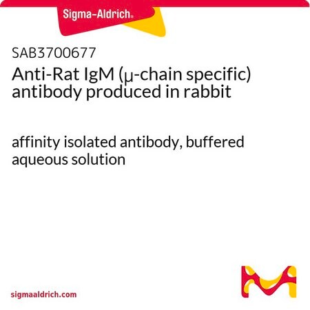 Merck Anti-Rat IgM (mu-chain specific) antibody produced in rabbit