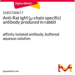 Merck Anti-Rat IgM (mu-chain specific) antibody produced in rabbit