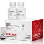 Thermo Fisher Scientific Dynabeads kilobaseBINDER Kit