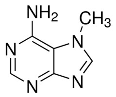 Merck 7-METHYLADENINE, 97%
