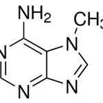 Merck 7-METHYLADENINE, 97%