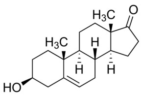 Merck DEHYDROEPIANDROSTERONE (DHEA)