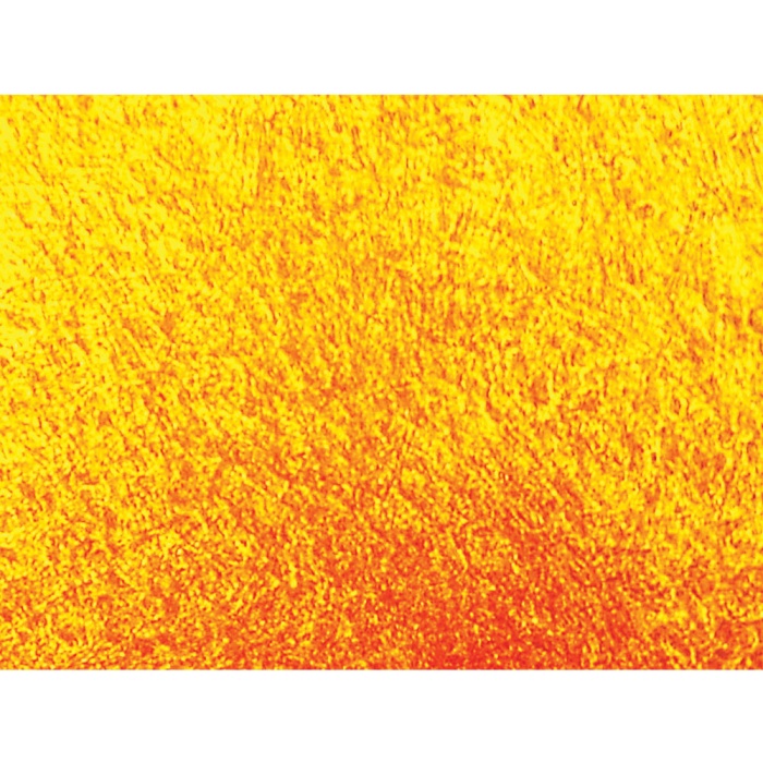 Himedia HiDiff Osteogenesis Assay Kit