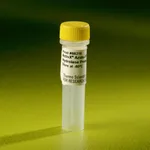 Thermo Fisher Scientific ActivX Azido-FP Serine Hydrolase Probe