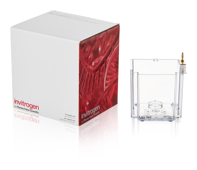 Thermo Fisher Scientific L-Buffer Chamber for XCell SureLock and XCell II Mini-Cells