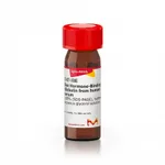 Merck Sex Hormone-Binding Globulin from human serum