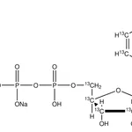 Merck Uridine-13C9,15N2 5'-triphosphate disodium salt solution