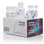 Thermo Fisher Scientific Click-iT HPG Alexa Fluor 488 Protein Synthesis Assay Kit