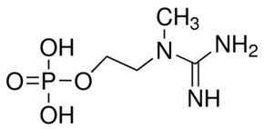 Merck 2-[[AMINO(IMINO)METHYL](METHYL)AMIN &