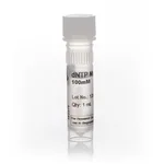 Thermo Fisher Scientific GeneAmp dNTP Blend (100 mM), 12 x 1 mL