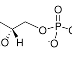 Merck 03:0 PC