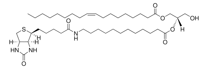 Merck 18:1-12:0 Biotin DG